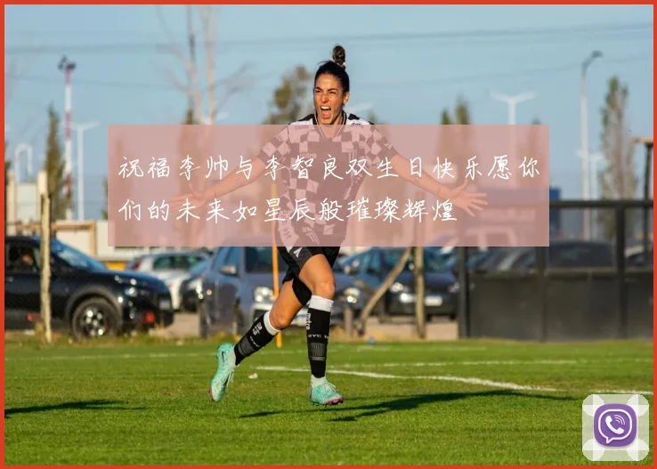 祝福李帅与李智良双生日快乐愿你们的未来如星辰般璀璨辉煌